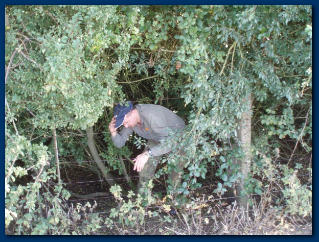 600x449 pixels (203K)